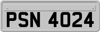 PSN4024