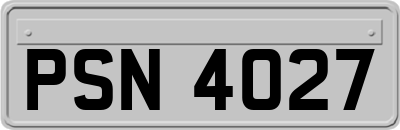 PSN4027