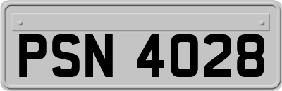 PSN4028