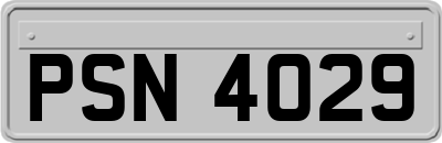 PSN4029