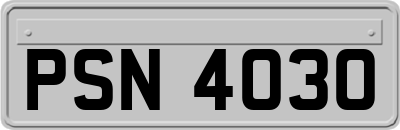 PSN4030