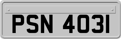 PSN4031