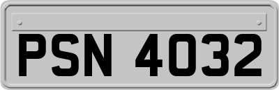PSN4032