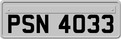 PSN4033