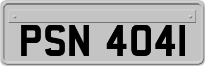 PSN4041