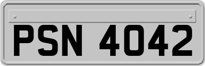 PSN4042