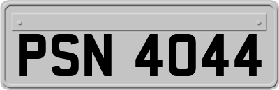 PSN4044