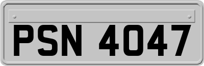 PSN4047