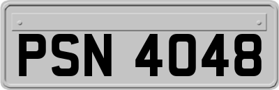 PSN4048