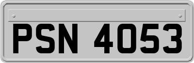 PSN4053