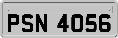 PSN4056