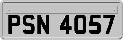 PSN4057