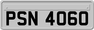 PSN4060
