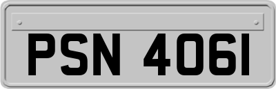 PSN4061
