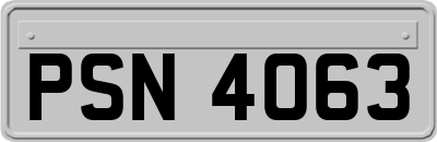 PSN4063