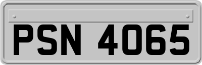 PSN4065