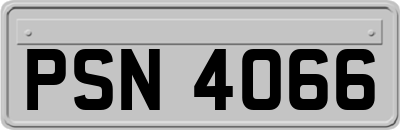 PSN4066