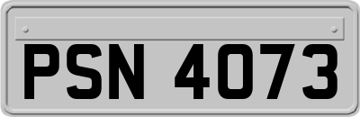 PSN4073