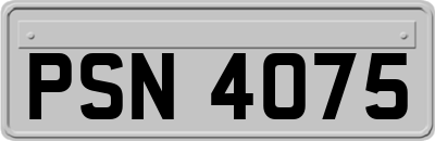 PSN4075