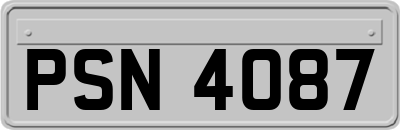 PSN4087
