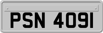 PSN4091