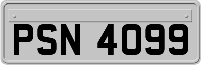 PSN4099