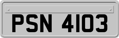 PSN4103