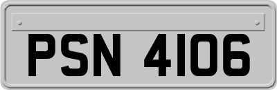 PSN4106