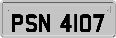 PSN4107
