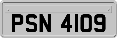 PSN4109