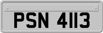 PSN4113