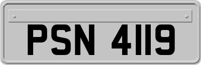 PSN4119