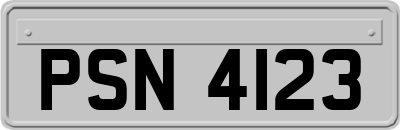 PSN4123