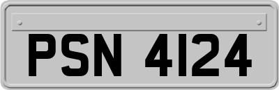 PSN4124