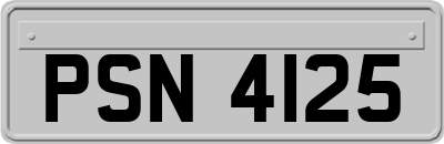 PSN4125
