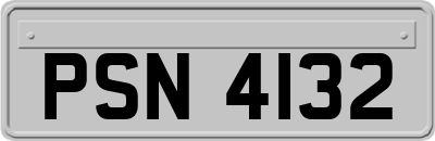 PSN4132