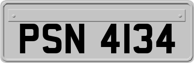 PSN4134