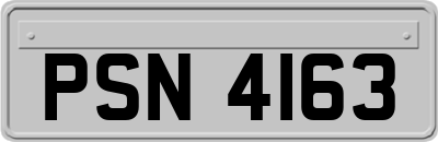PSN4163