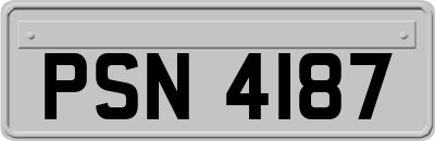 PSN4187