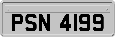 PSN4199