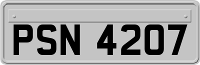 PSN4207