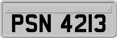PSN4213