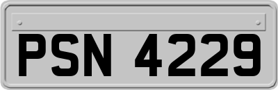 PSN4229