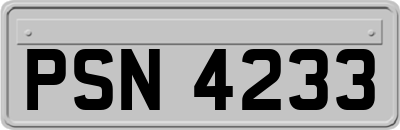 PSN4233