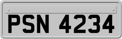 PSN4234