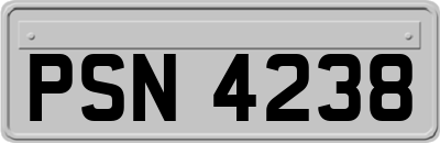 PSN4238
