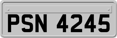 PSN4245