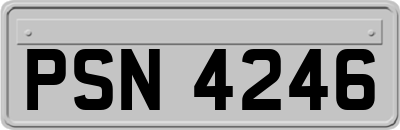 PSN4246