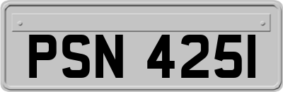 PSN4251
