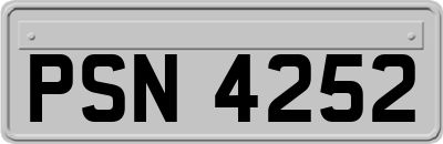 PSN4252